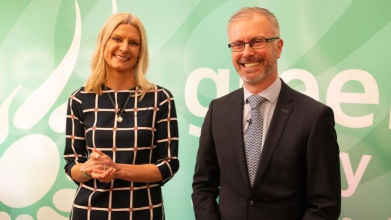 Green Party calls for Electric Picnic to be replaced with Acoustic Picnic