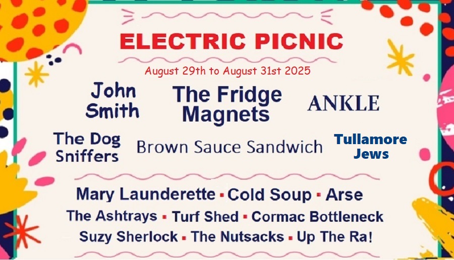 More big names added to this year’s Electric Picnic line-up