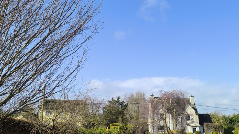 Government calls for nationwide hosepipe ban as no rain is forecast for today