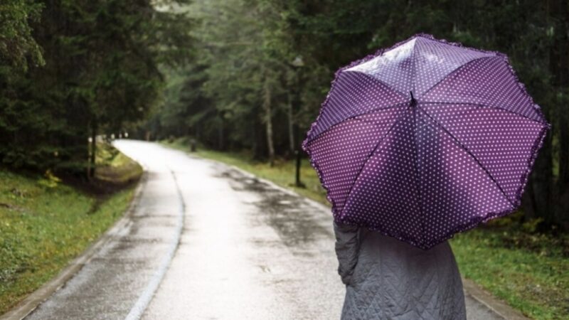 Experts say wetter weather due to increase in rainfall