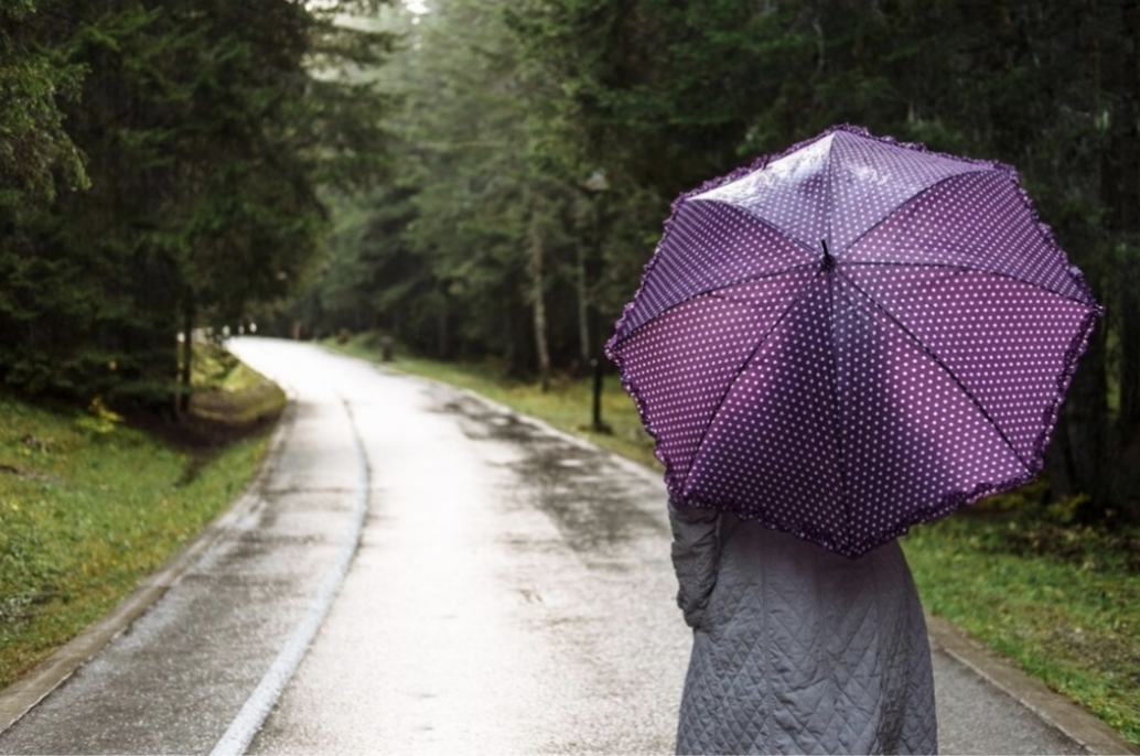 Experts say wetter weather due to increase in rainfall